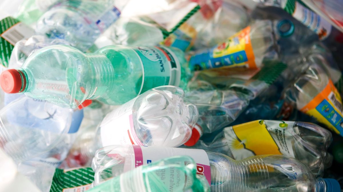 Vědci objevili mikroby, které mohou pomoci vyřešit problém s plasty